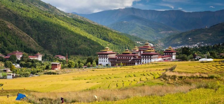 paddy_dzong_oct2014-6